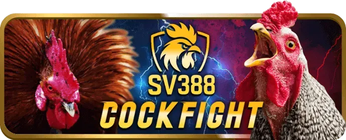 Nhấn nút Đăng Ký huvip88